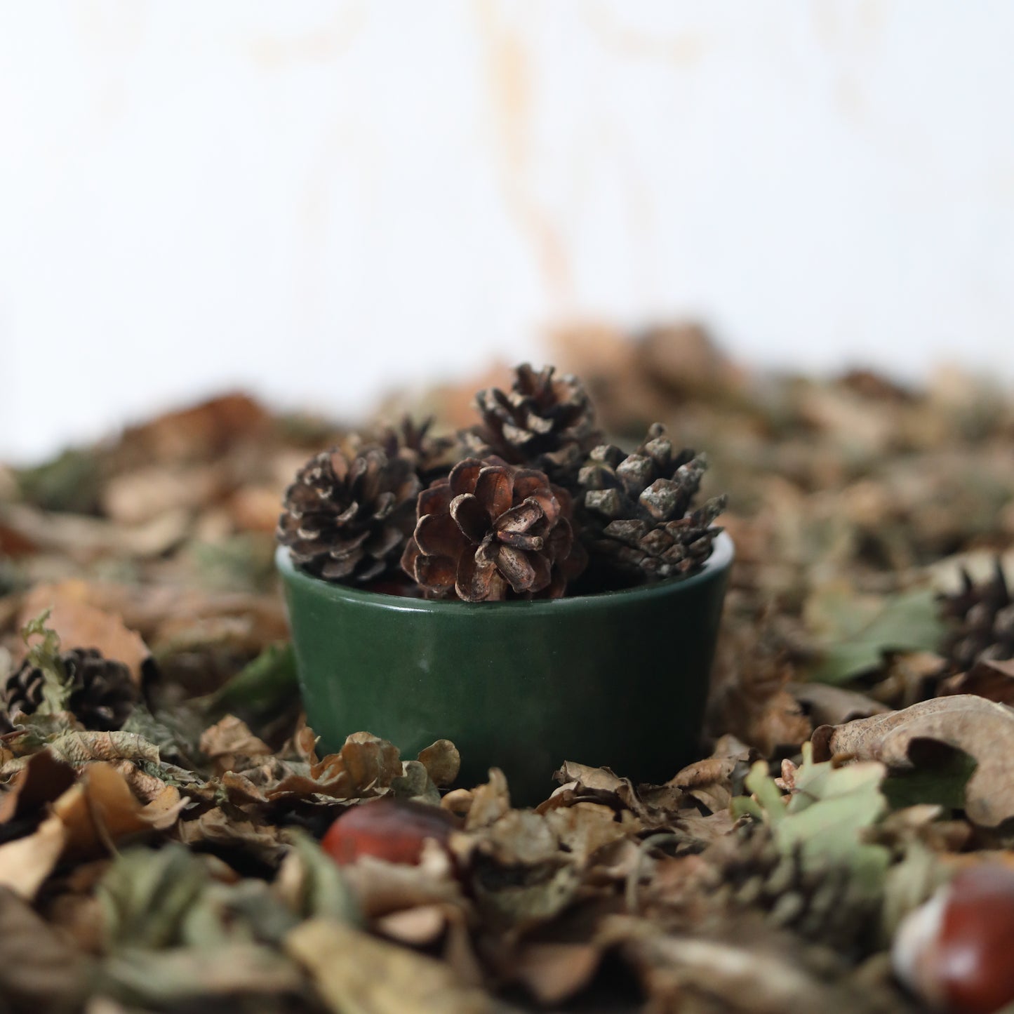 Autumn Edition Racing Green Classic Bowls