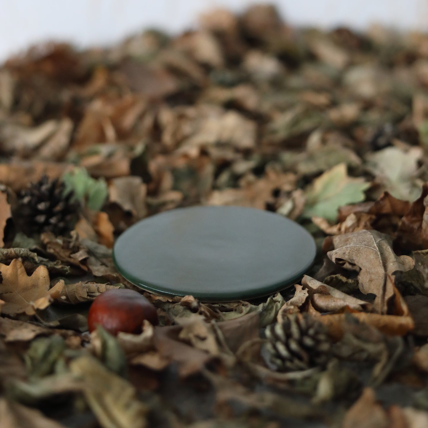 Autumn Edition Classic Coasters