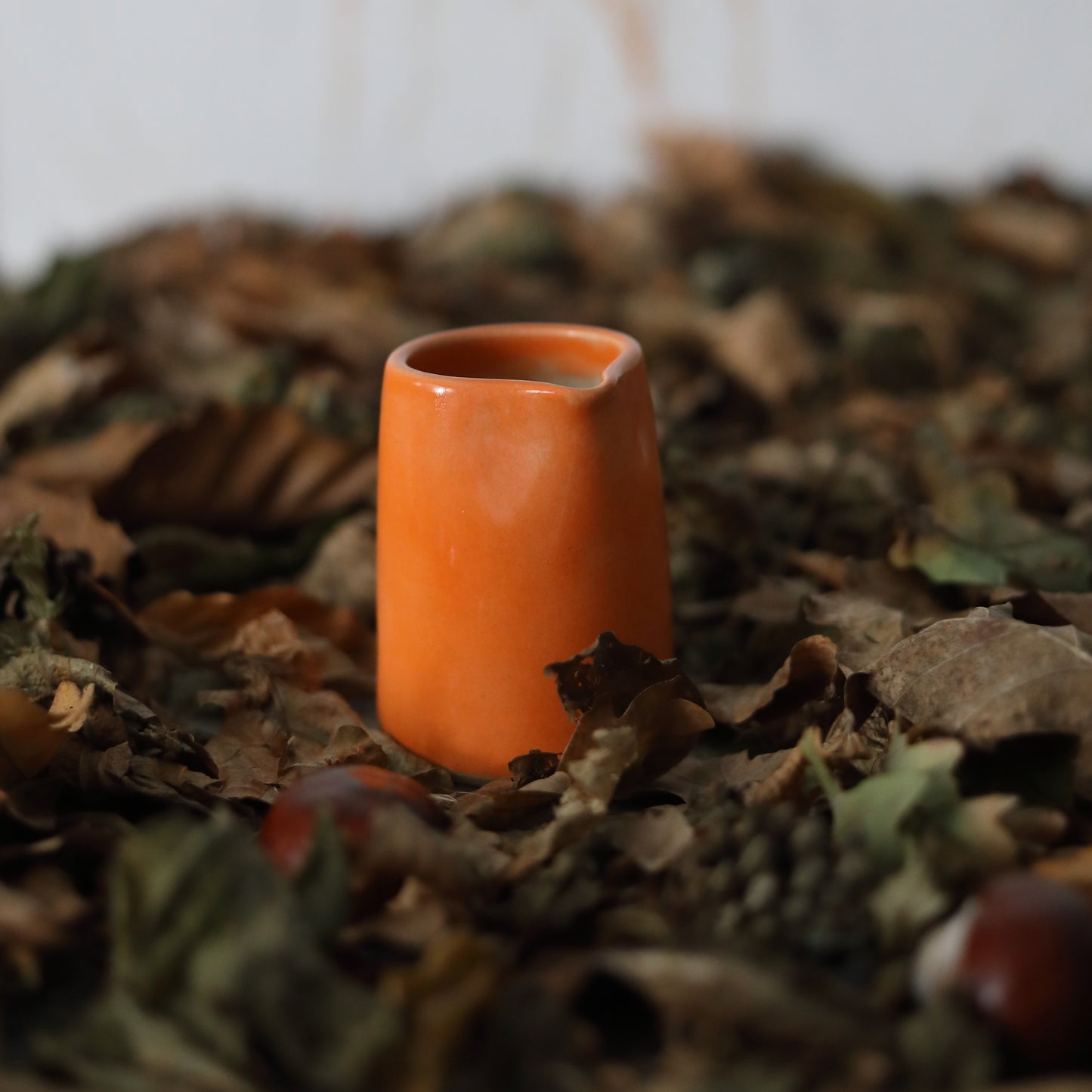 Autumn Edition Mandarin Orange Classic Jugs