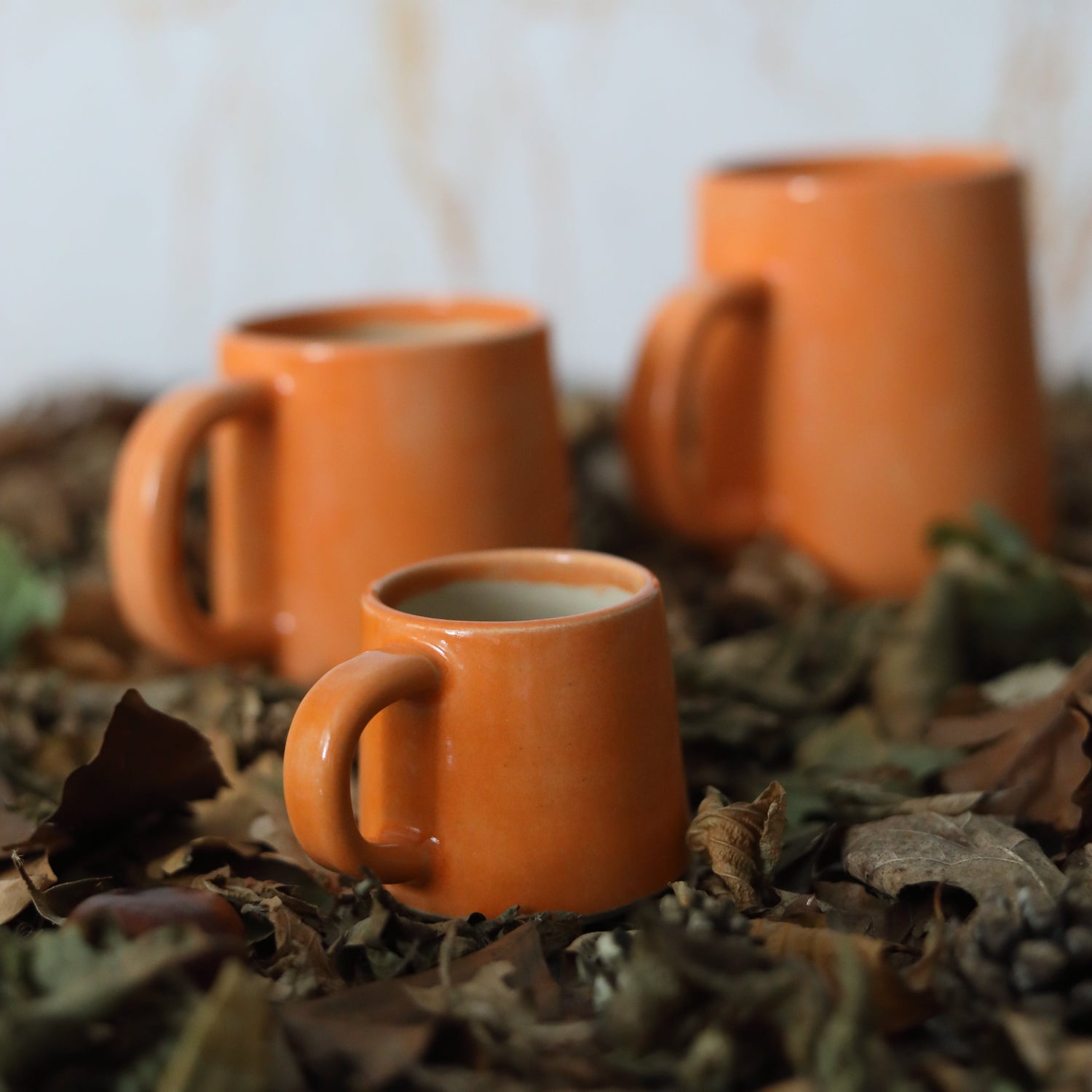 Ceramic Mugs