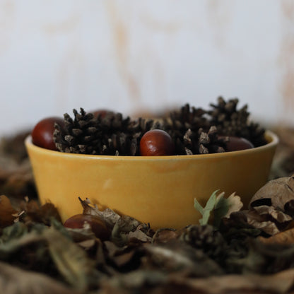 Autumn Edition Egg Yolk Classic Bowls