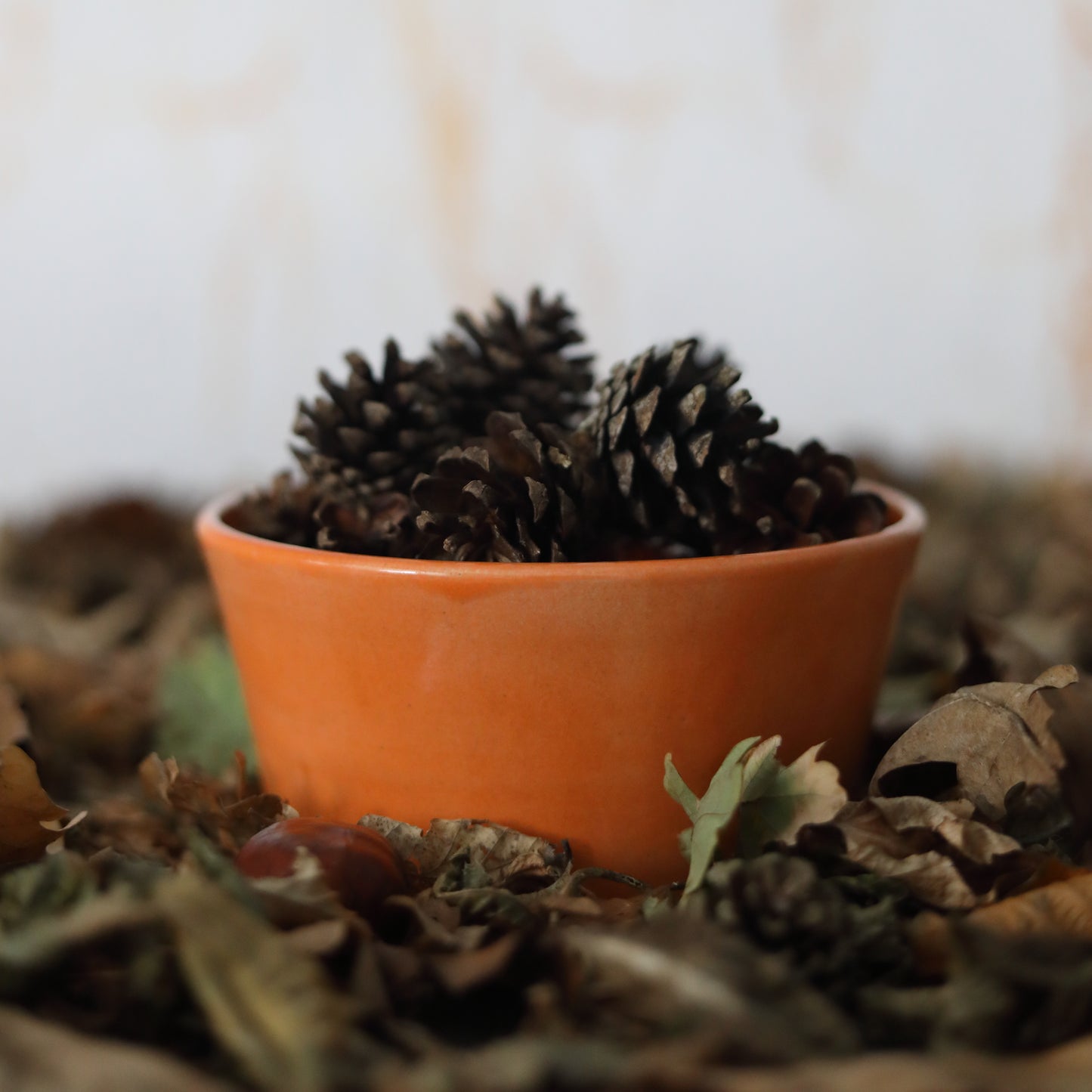 Autumn Edition Mandarin Orange Classic Bowls