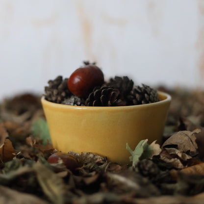 Autumn Edition Egg Yolk Classic Bowls