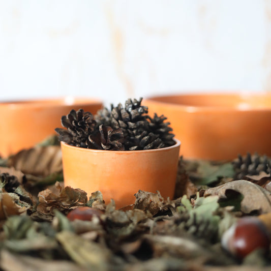 Autumn Edition Mandarin Orange Classic Bowls