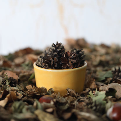 Autumn Edition Egg Yolk Classic Bowls