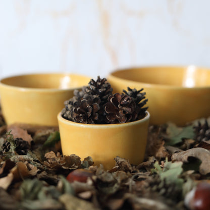 Autumn Edition Egg Yolk Classic Bowls