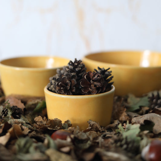 Autumn Edition Egg Yolk Classic Bowls