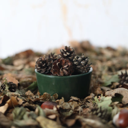 Autumn Edition Racing Green Classic Bowls