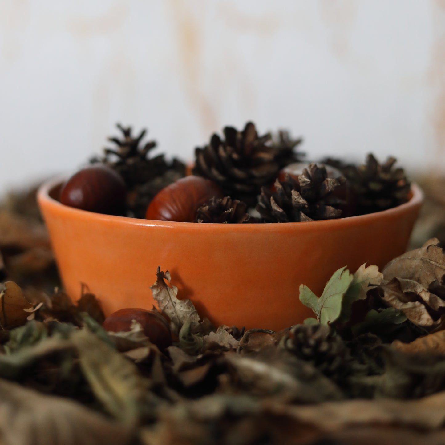 Autumn Edition Mandarin Orange Classic Bowls