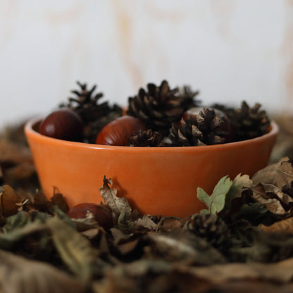 Autumn Edition Mandarin Orange Classic Bowls