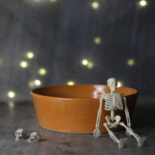 Mandarin Orange Classic Pasta Bowl