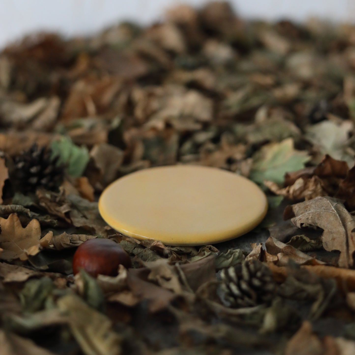 Autumn Edition Classic Coasters