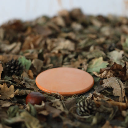Autumn Edition Classic Coasters