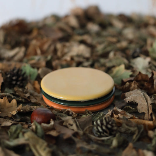 Autumn Edition Classic Coasters
