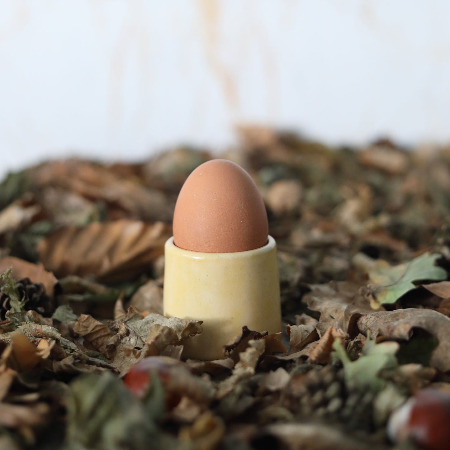 Autumn Edition Classic Egg Cups