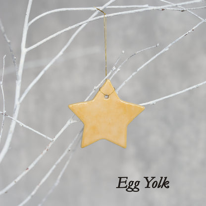 Winter Edition Classic Christmas Star Decorations