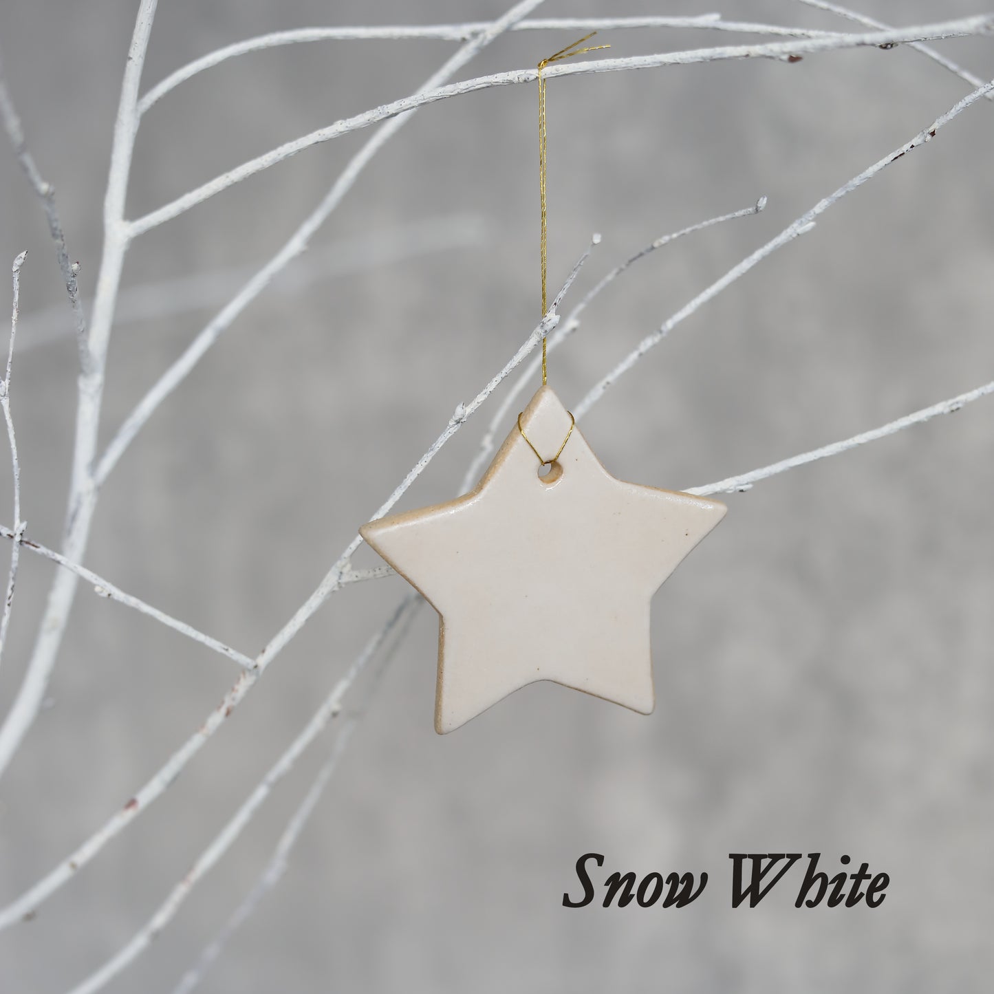 Winter Edition Classic Christmas Star Decorations