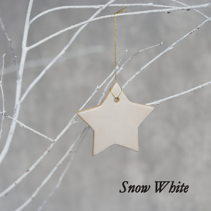 Winter Edition Classic Christmas Star Decorations