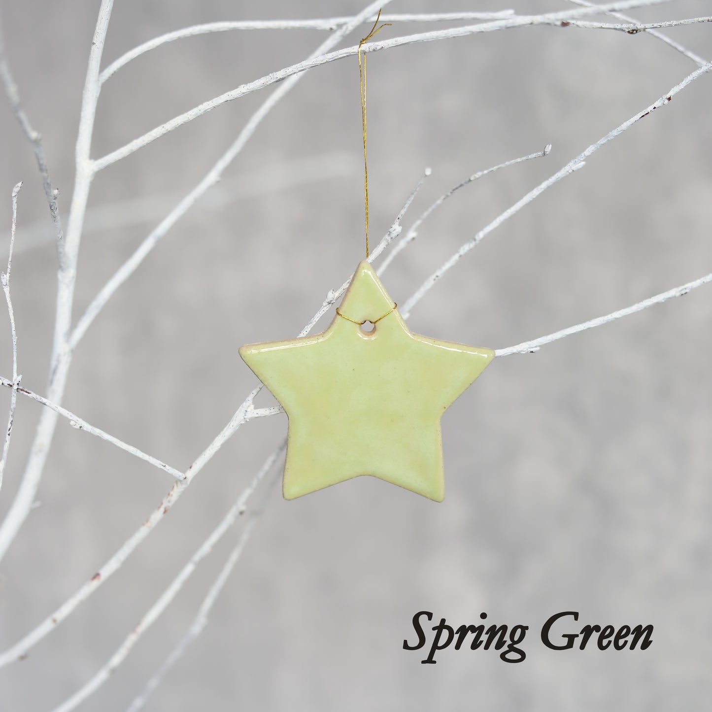 Winter Edition Classic Christmas Star Decorations