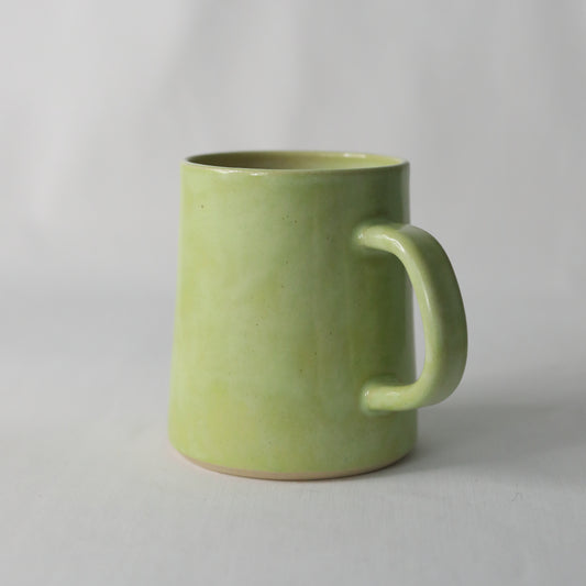 Spring Green Classic Pint Mug