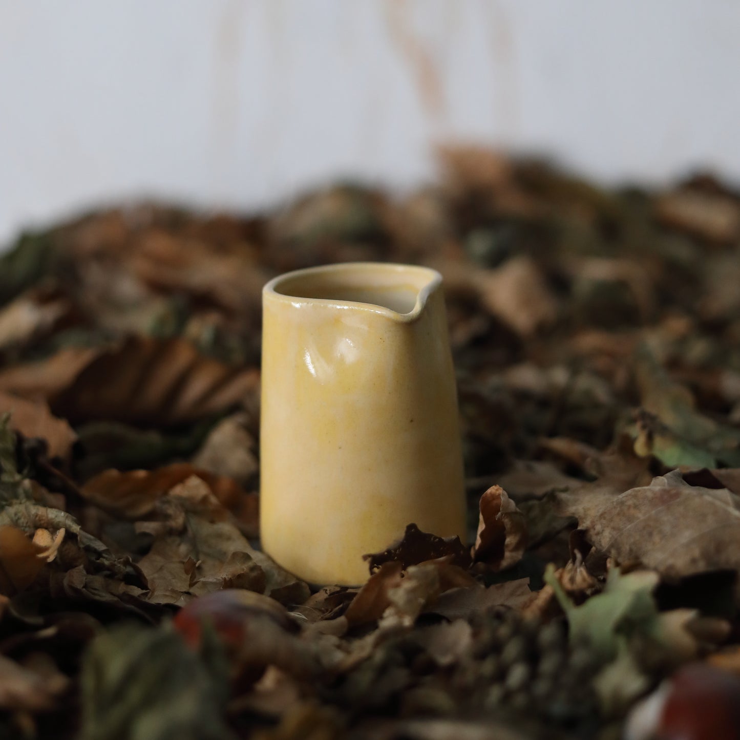 Autumn Edition Egg Yolk Classic Jugs