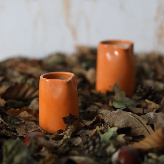 Autumn Edition Mandarin Orange Classic Jugs
