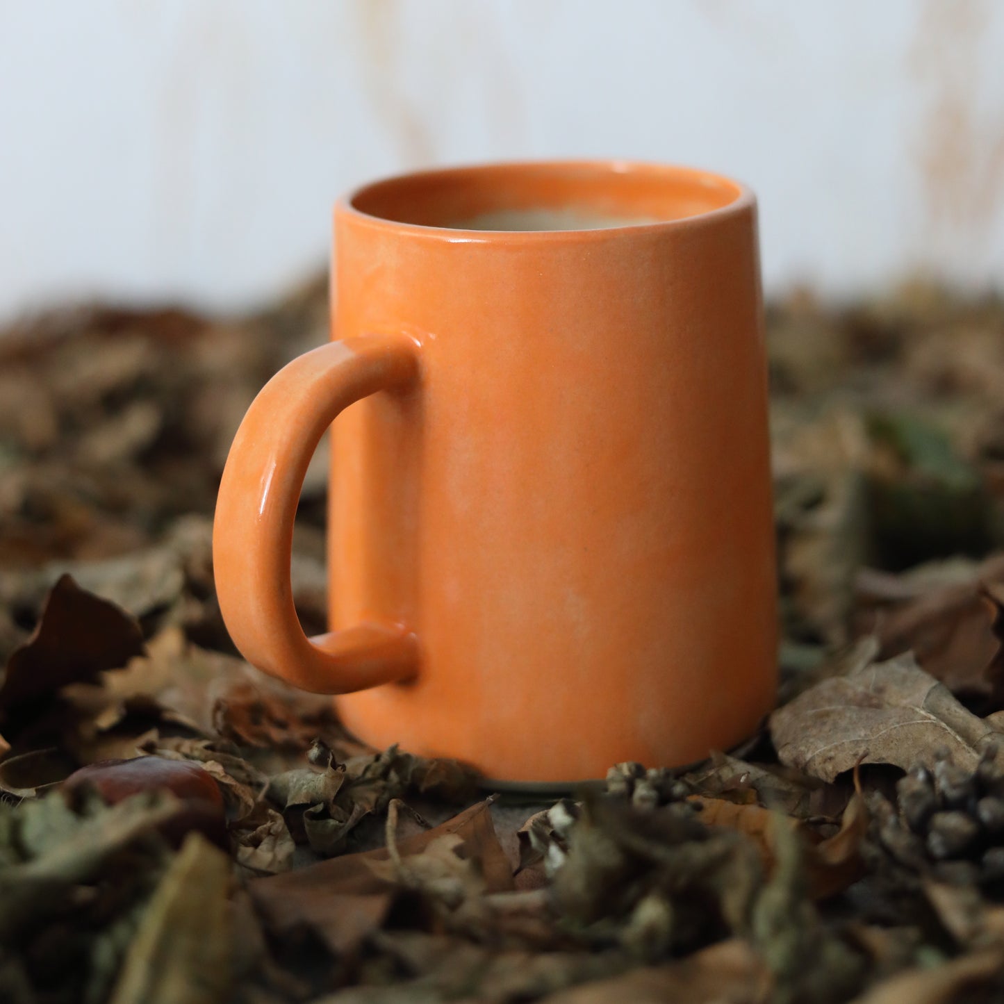 Autumn Edition Mandarin Orange Classic Mugs