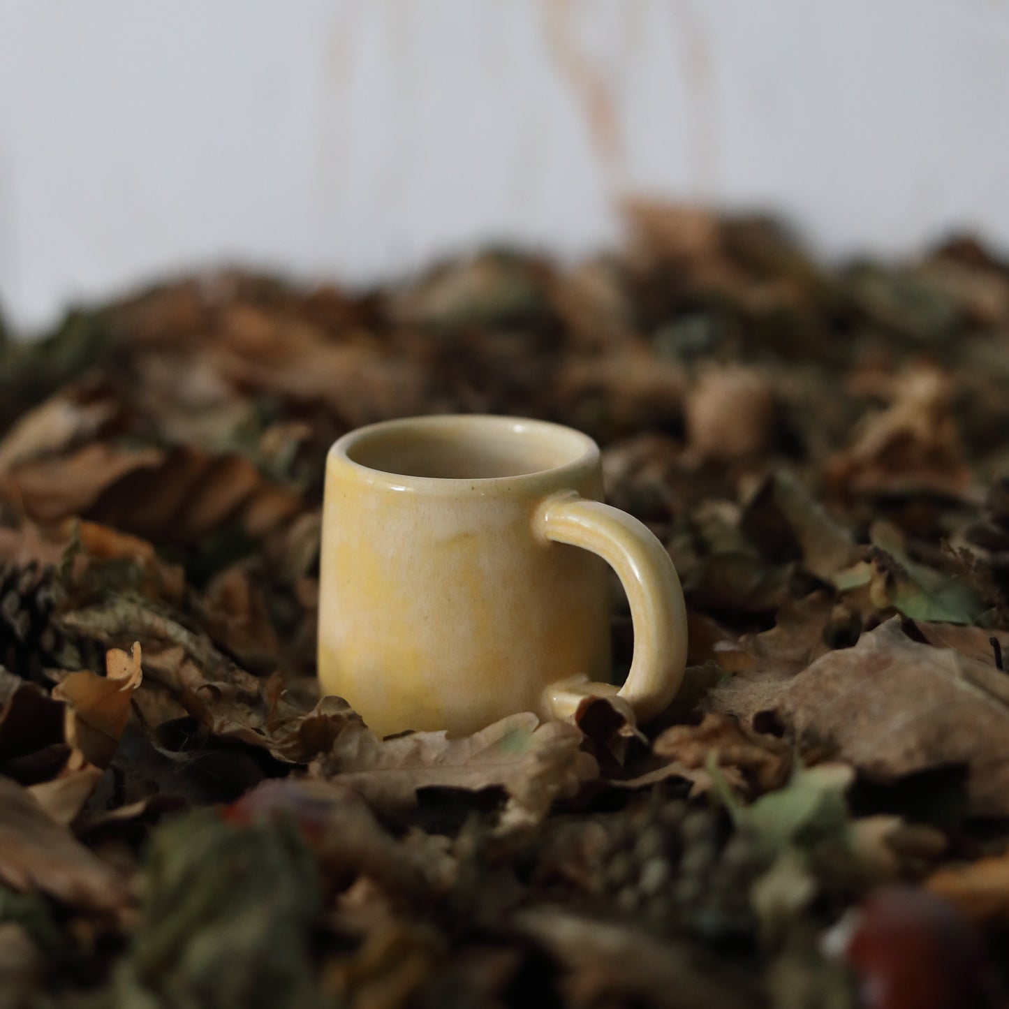 Autumn Edition Egg Yolk Classic Mugs