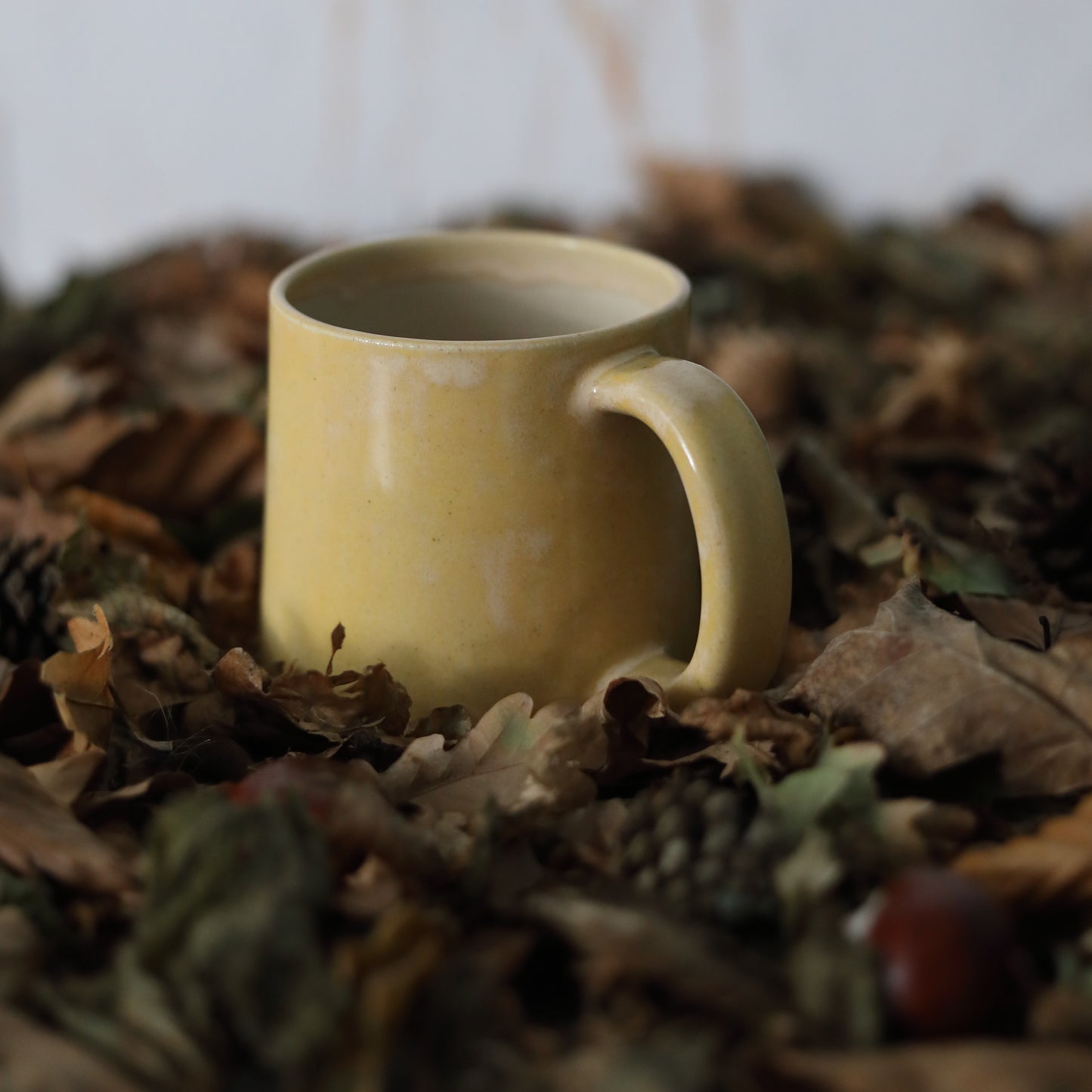 Autumn Edition Egg Yolk Classic Mugs
