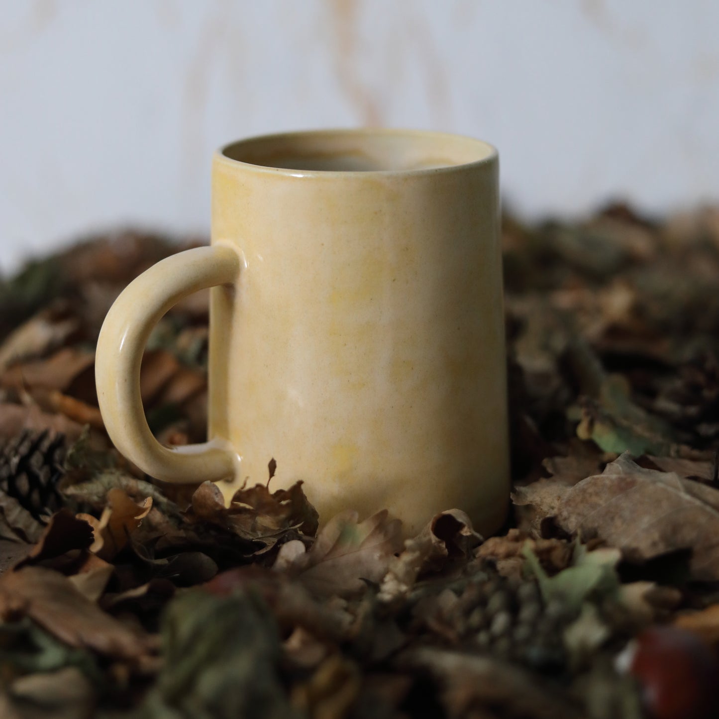 Autumn Edition Egg Yolk Classic Mugs