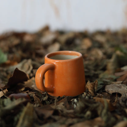 Autumn Edition Mandarin Orange Classic Mugs