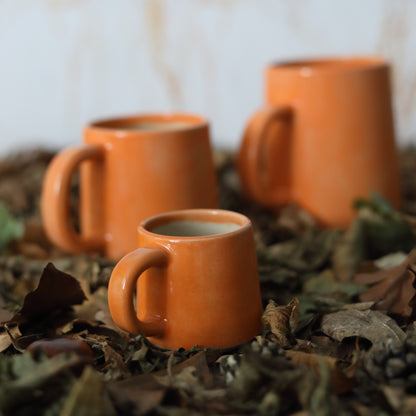 Autumn Edition Mandarin Orange Classic Mugs