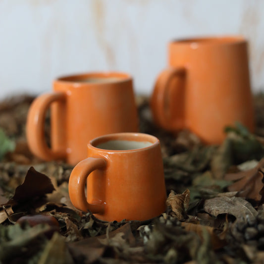 Autumn Edition Mandarin Orange Classic Mugs