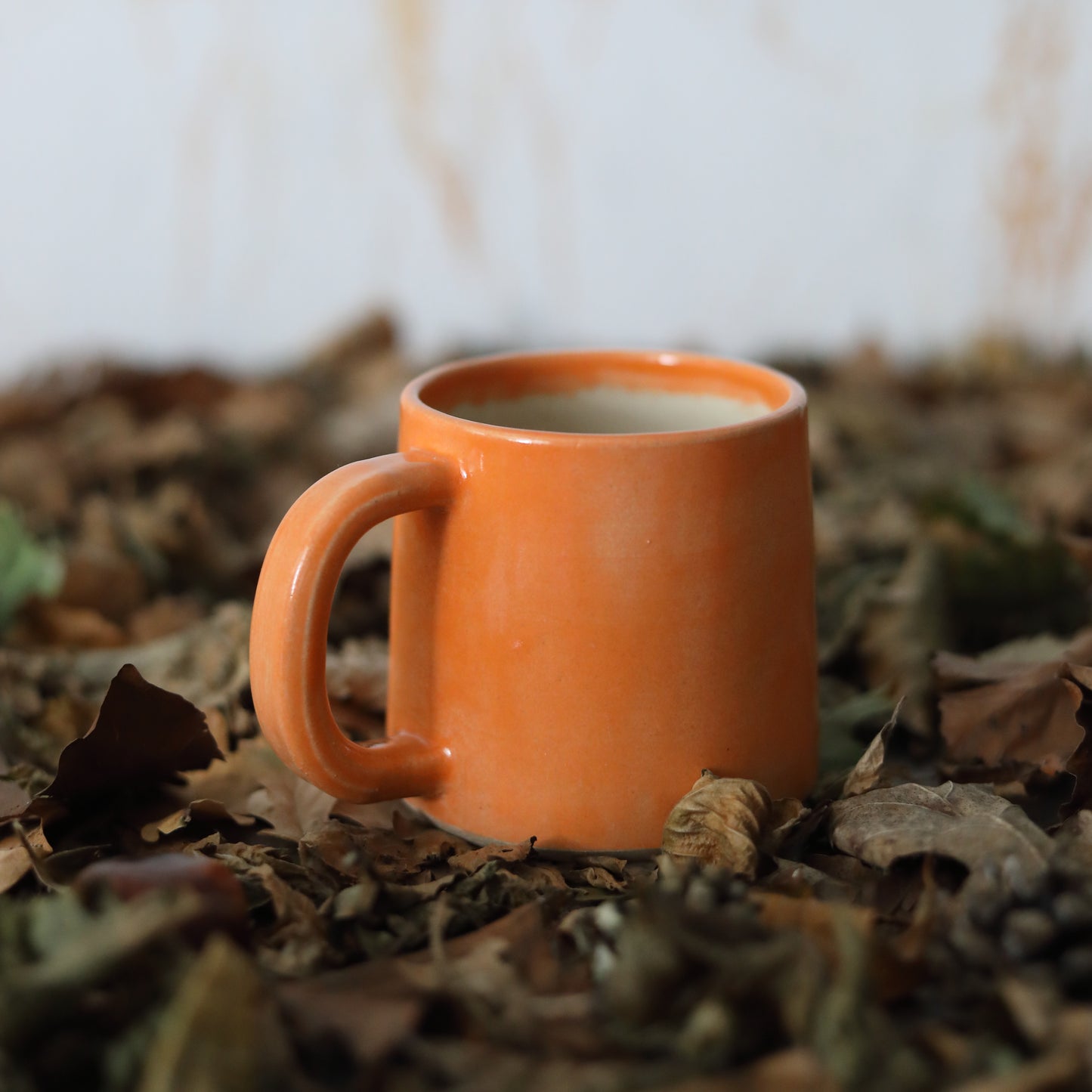 Autumn Edition Mandarin Orange Classic Mugs