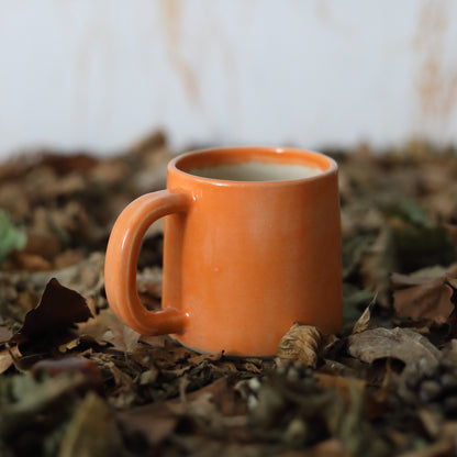 Autumn Edition Mandarin Orange Classic Mugs