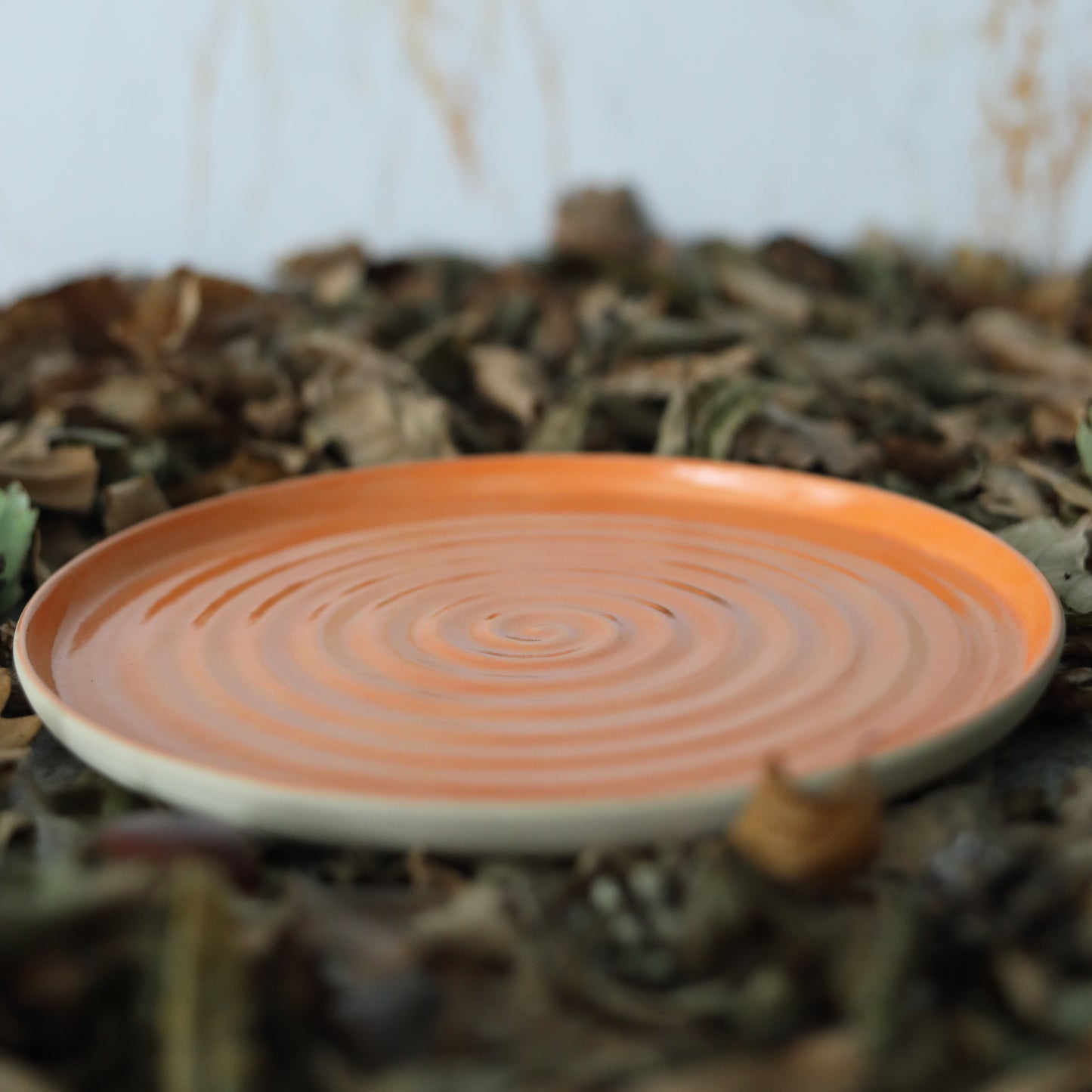 Autumn Edition Mandarin Orange Classic Plates