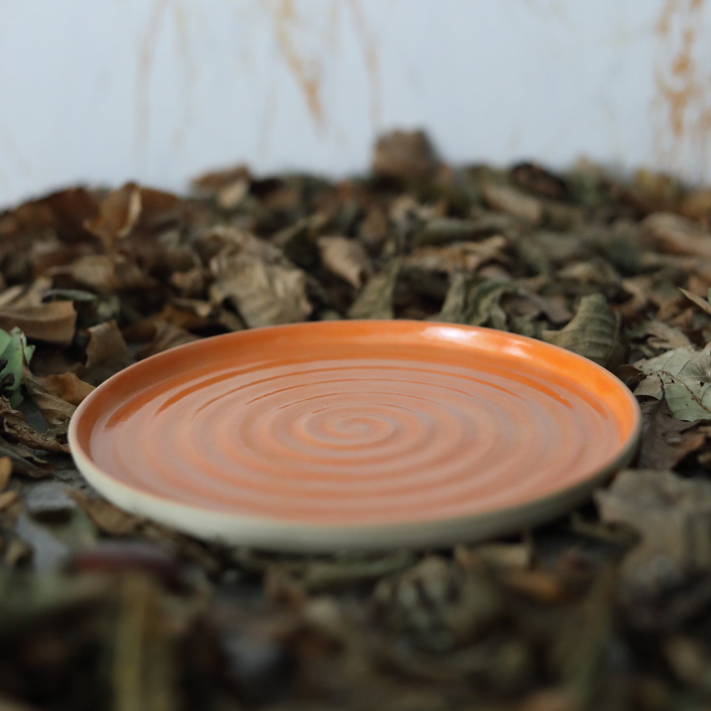 Autumn Edition Mandarin Orange Classic Plates
