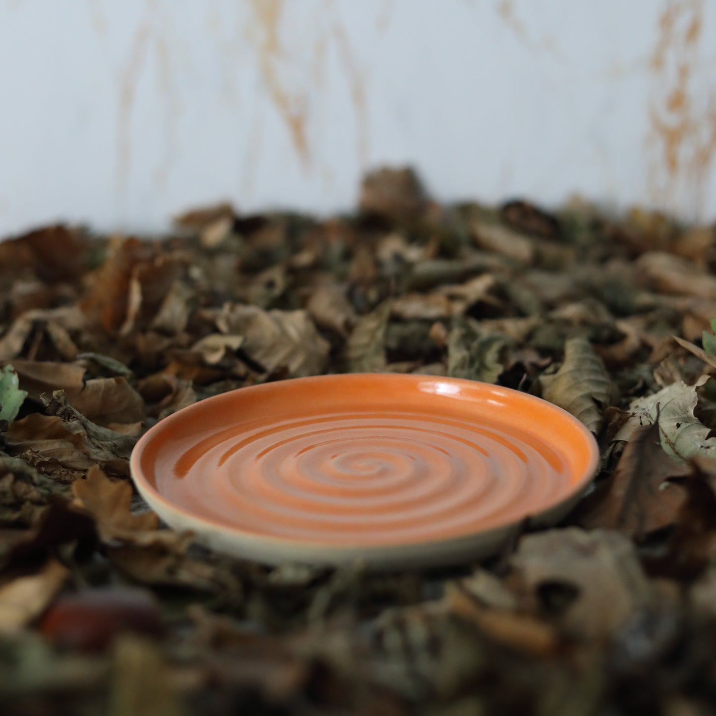 Autumn Edition Mandarin Orange Classic Plates