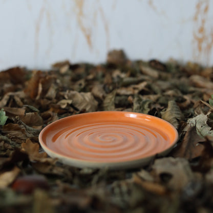Autumn Edition Mandarin Orange Classic Plates