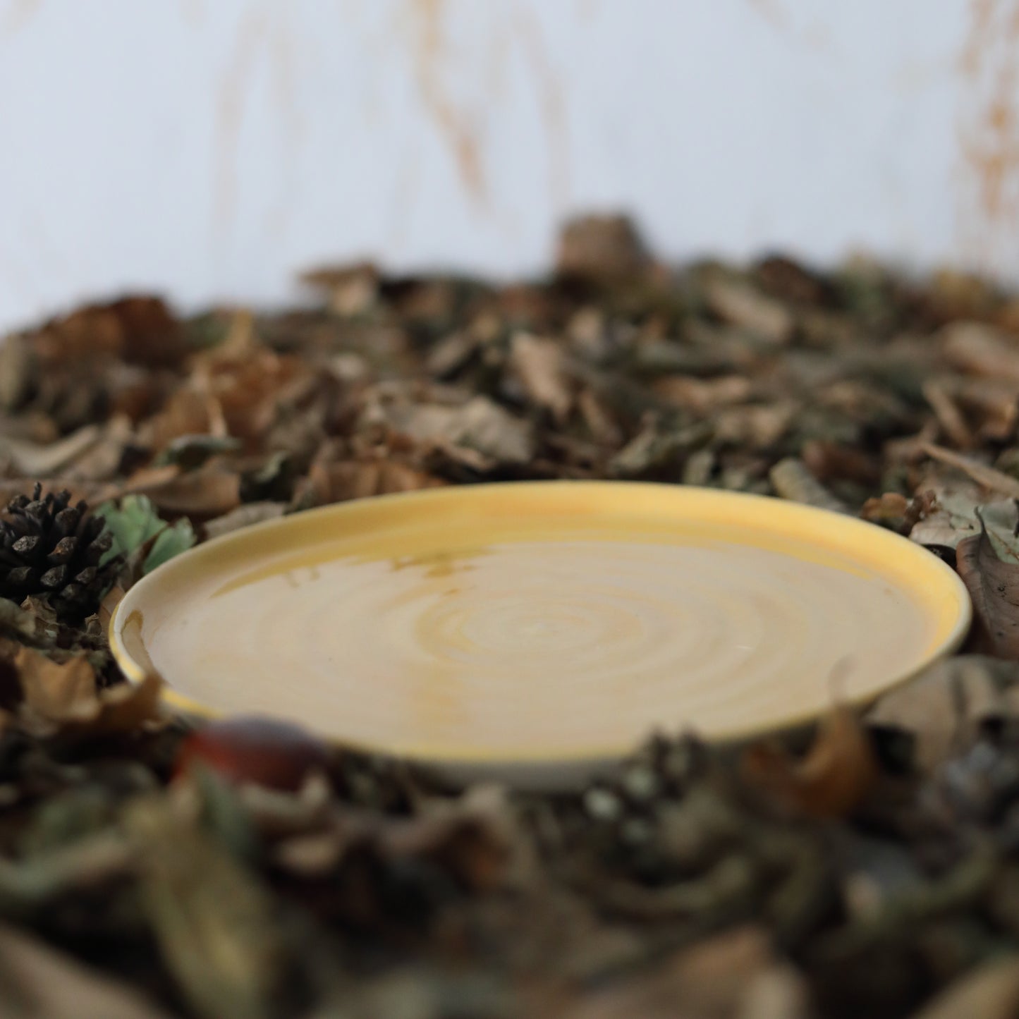 Autumn Edition Egg Yolk Classic Plates