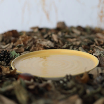 Autumn Edition Egg Yolk Classic Plates