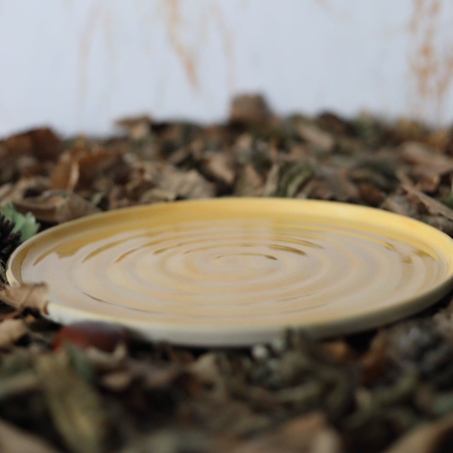 Autumn Edition Egg Yolk Classic Plates