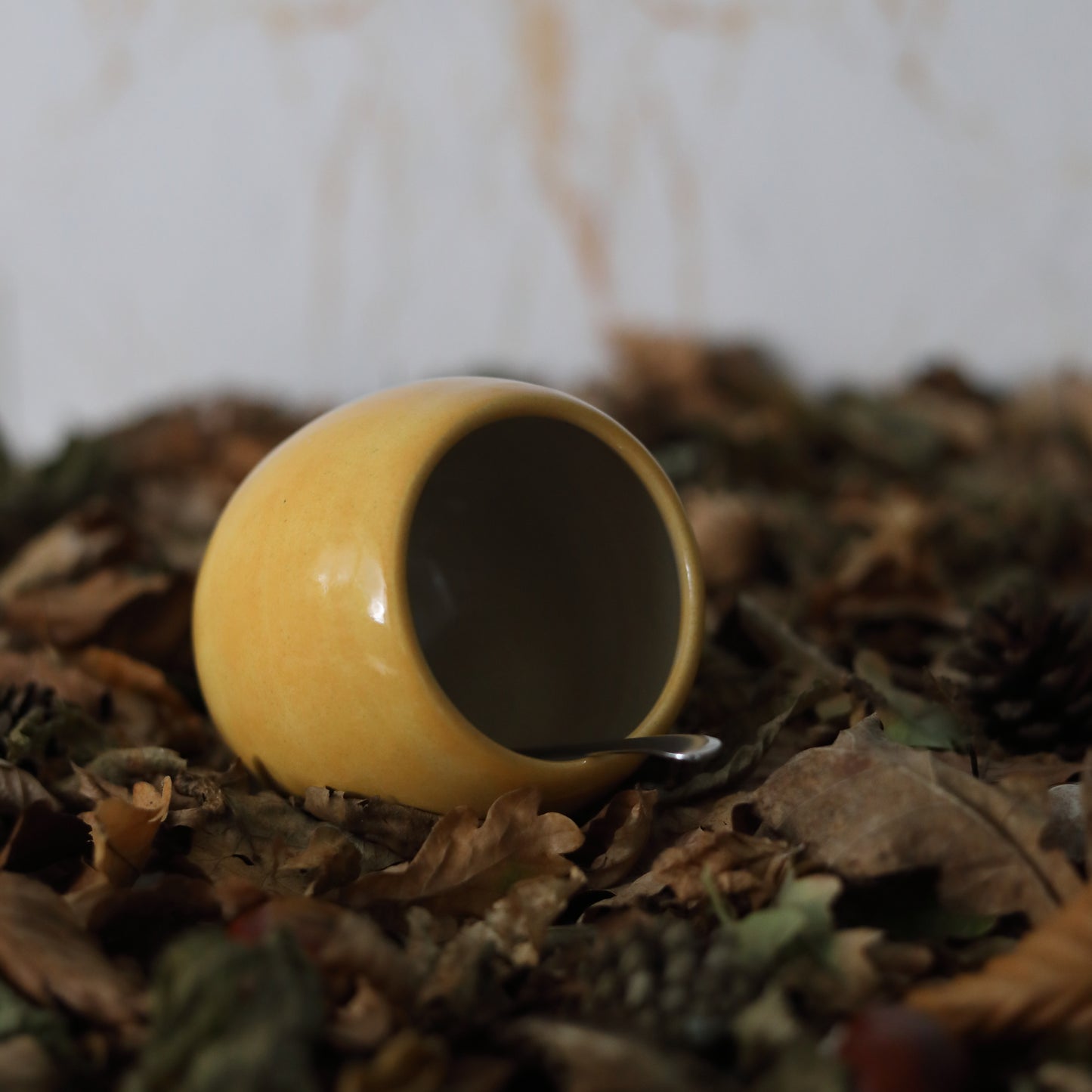 Autumn Edition Classic Salt Pigs
