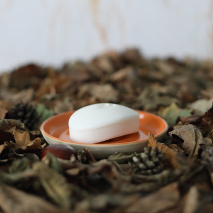 Autumn Edition Classic Soap Dishes