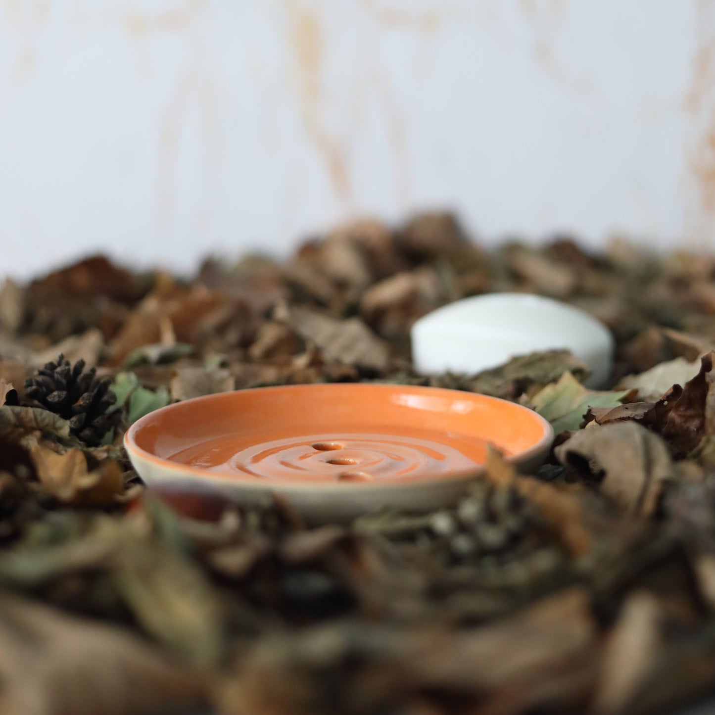 Autumn Edition Classic Soap Dishes