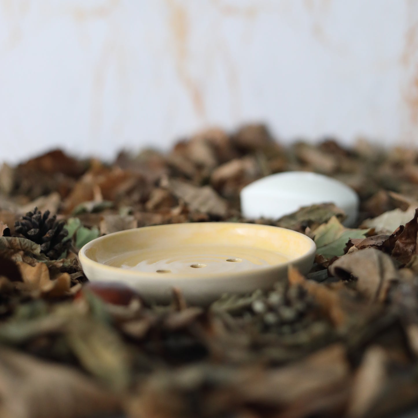 Autumn Edition Classic Soap Dishes