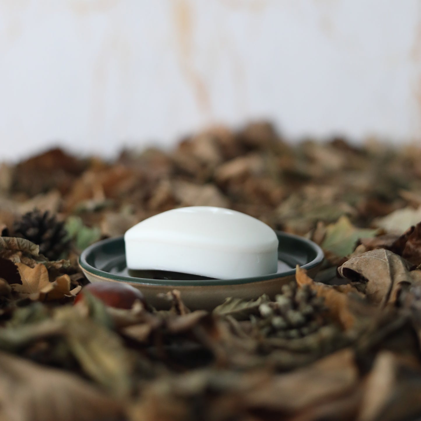 Autumn Edition Classic Soap Dishes