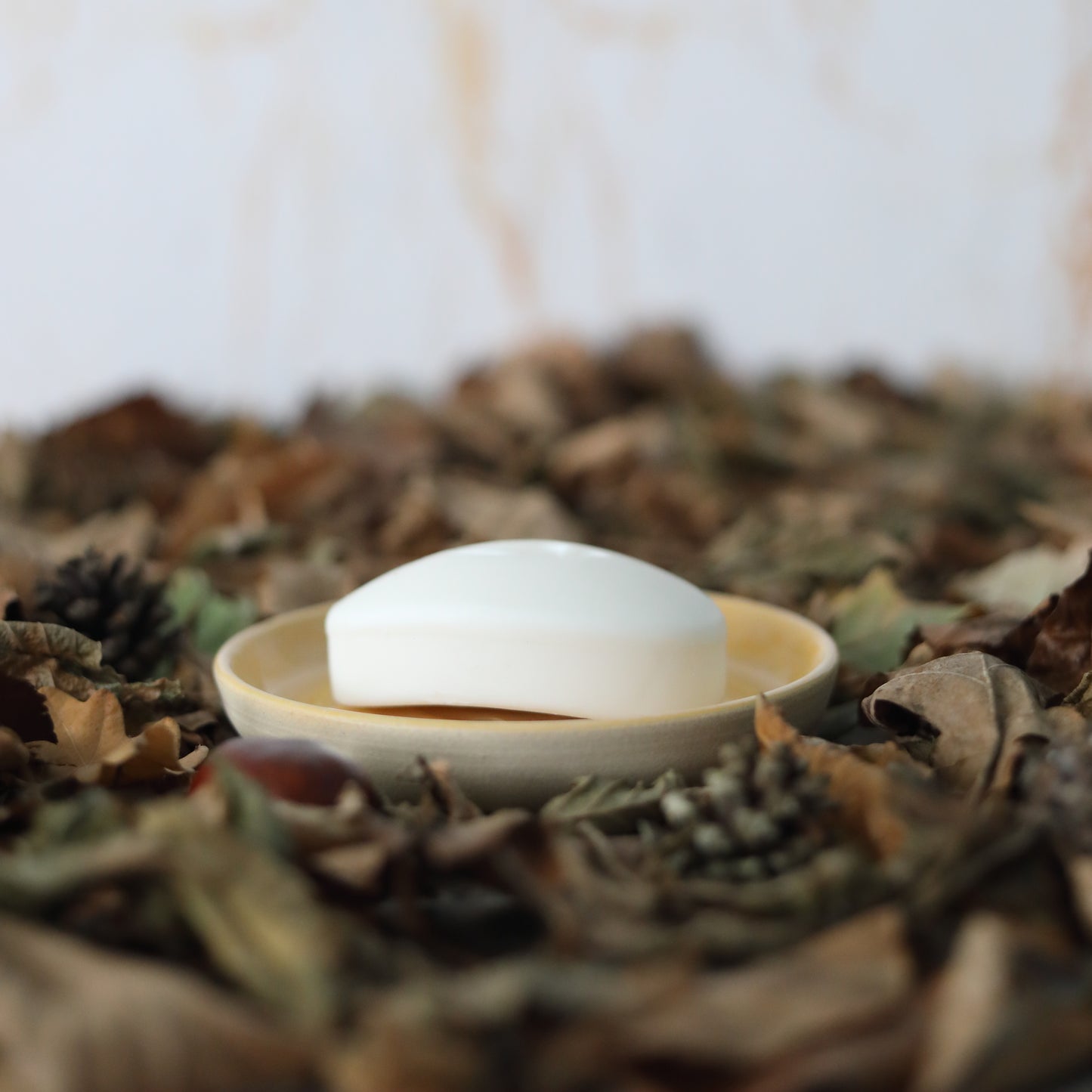 Autumn Edition Classic Soap Dishes