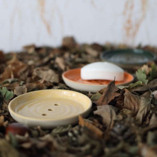 Autumn Edition Classic Soap Dishes