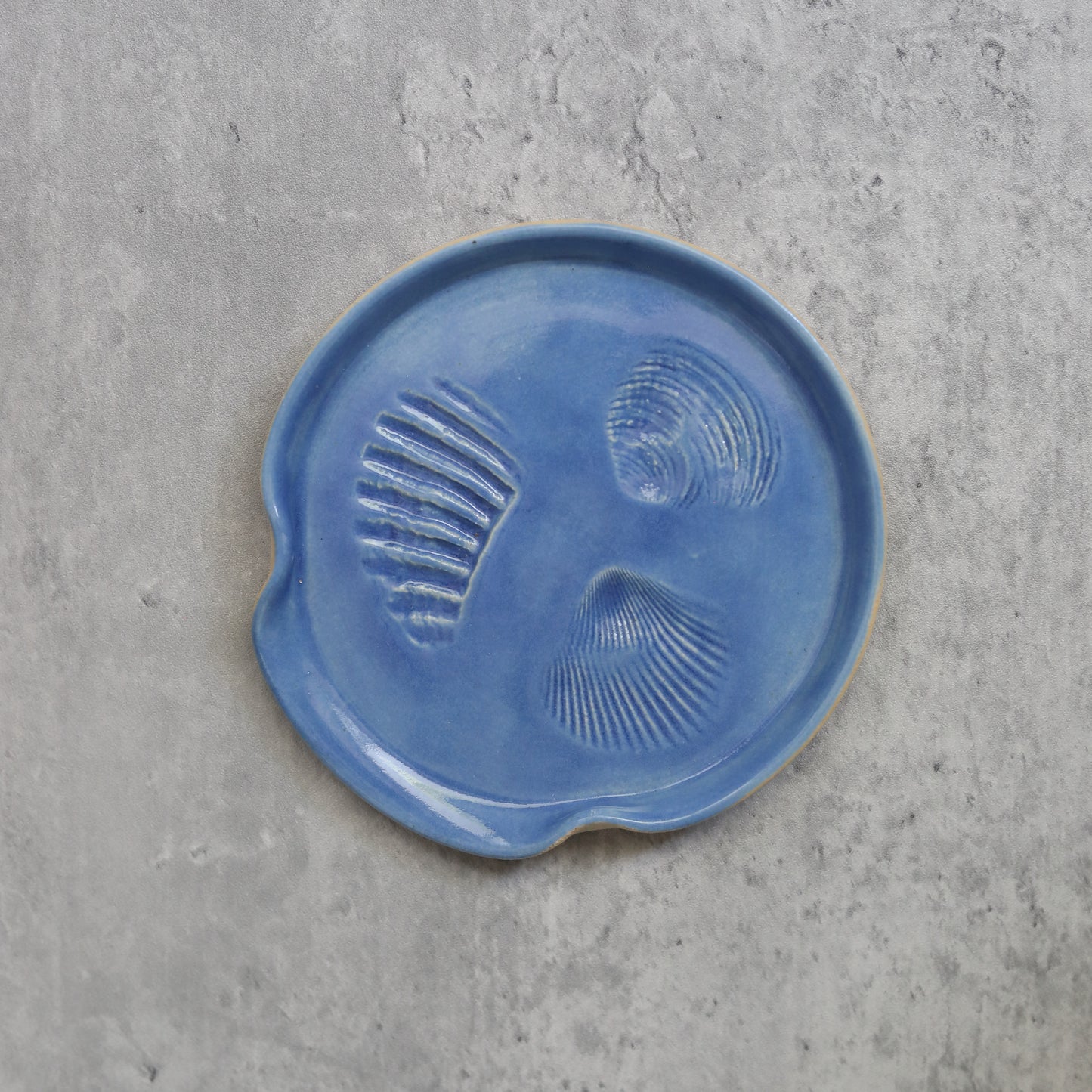 Pacific Blue Classic Shell Spoon Rest